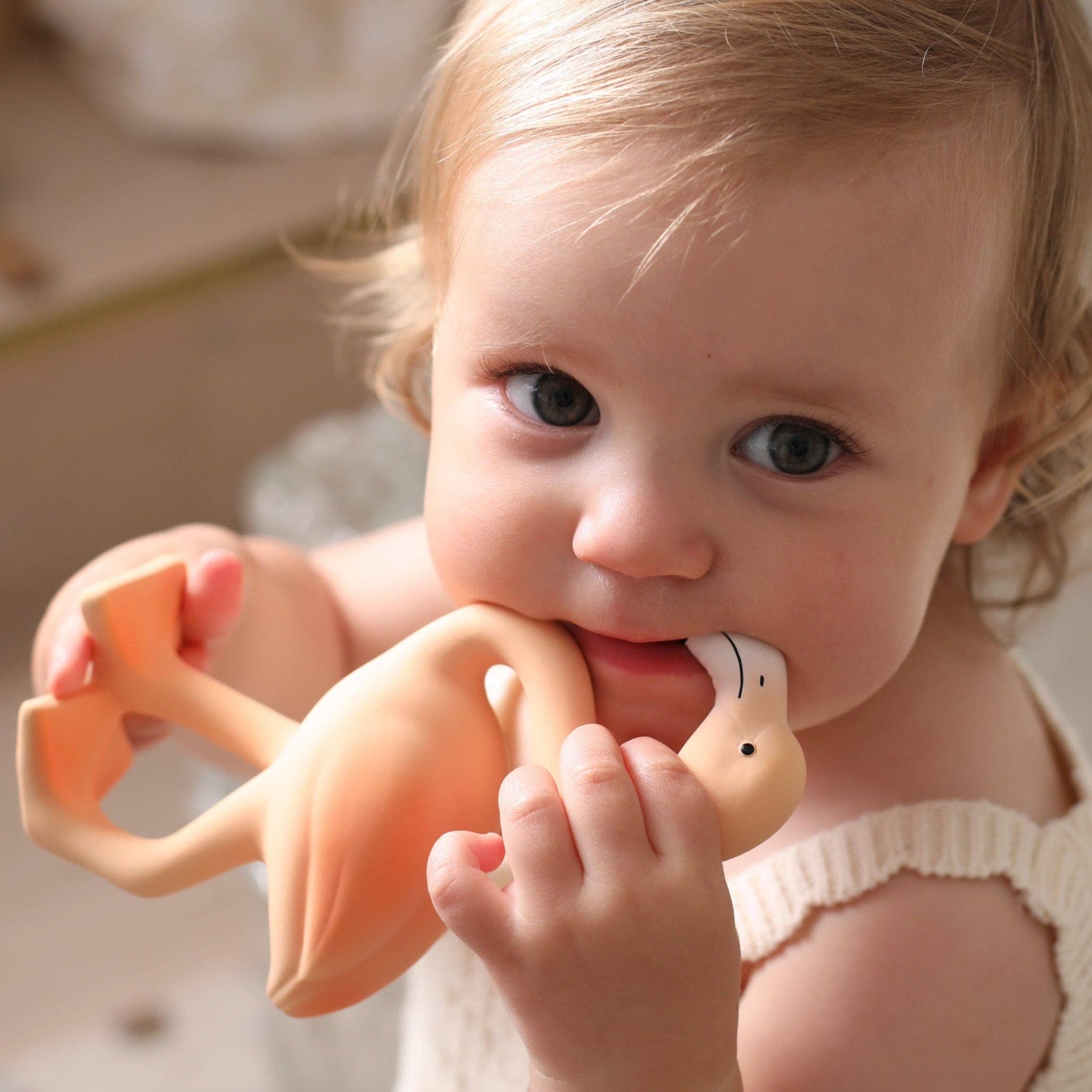 Lingo the Flamingo Teether & Bath Toy
