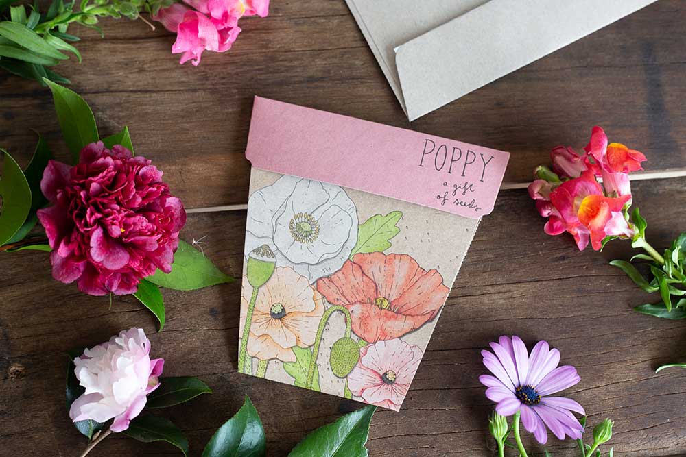 Poppy
