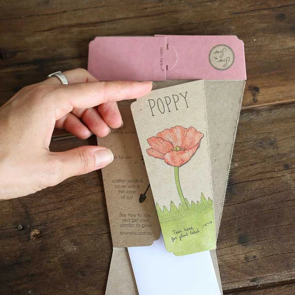 Poppy