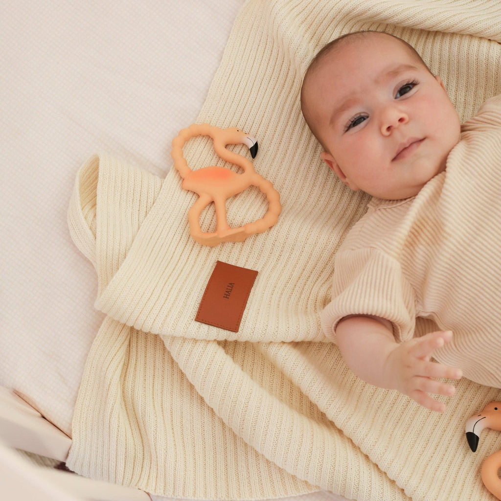 Lingo Mini Teether & Bath Toy