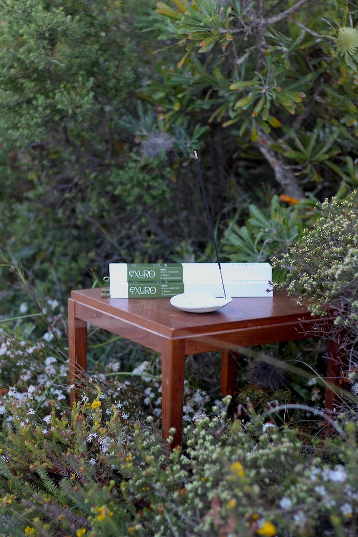 Table with a box of aromatherapy incense and a collective autonomy shell incense holder on it surrounded by greenery