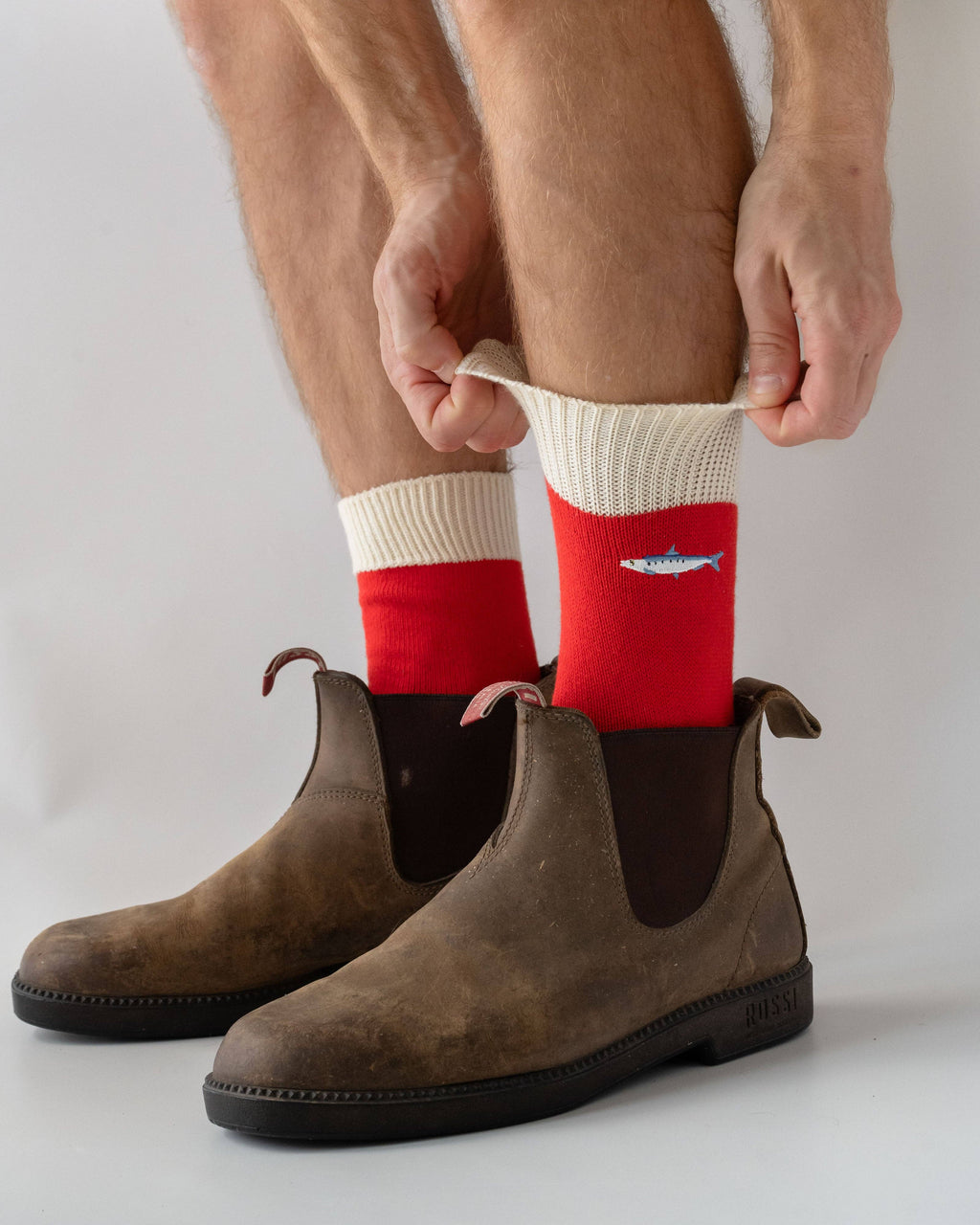 Sardine Fish Socks: Medium/Large