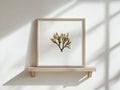 Doubling Weed - Pressed Seaweed Fine Print