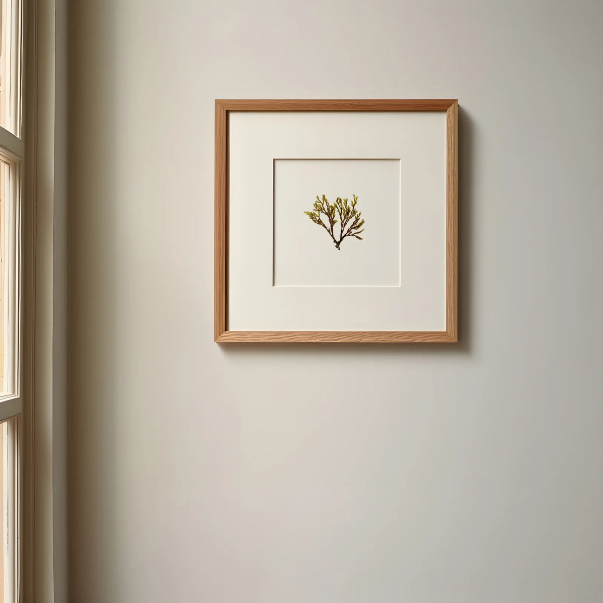 Doubling Weed - Pressed Seaweed Fine Print