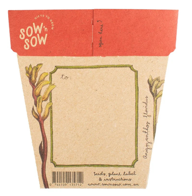 Kangaroo Paw - Gift of Seeds