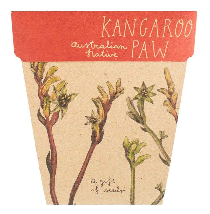 Kangaroo Paw - Gift of Seeds