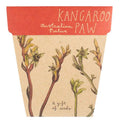 Kangaroo Paw - Gift of Seeds
