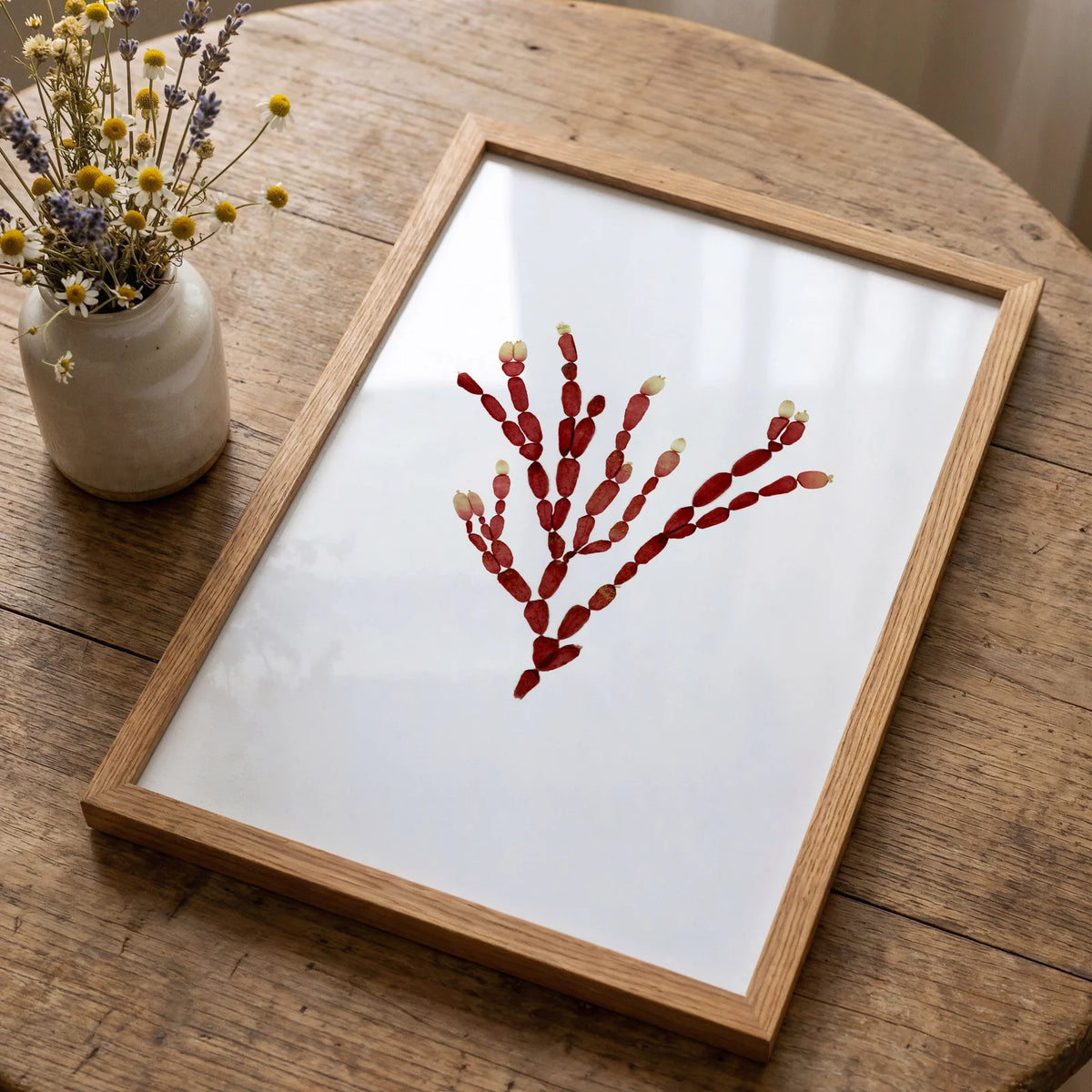 Sea Gems - Pressed Seaweed Fine Print