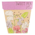 Sweet Pea - Gift of Seeds