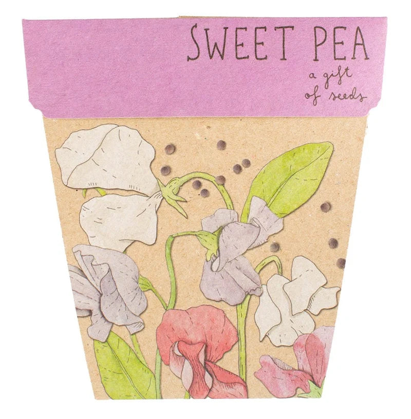 Sweet Pea - Gift of Seeds